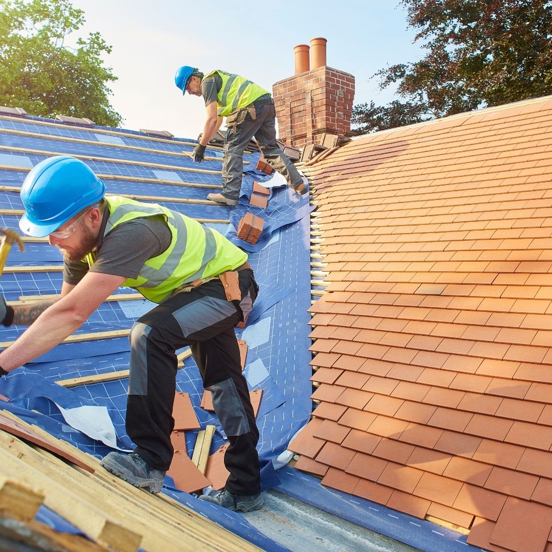 Do they offer maintenance plans to extend roof lifespan?