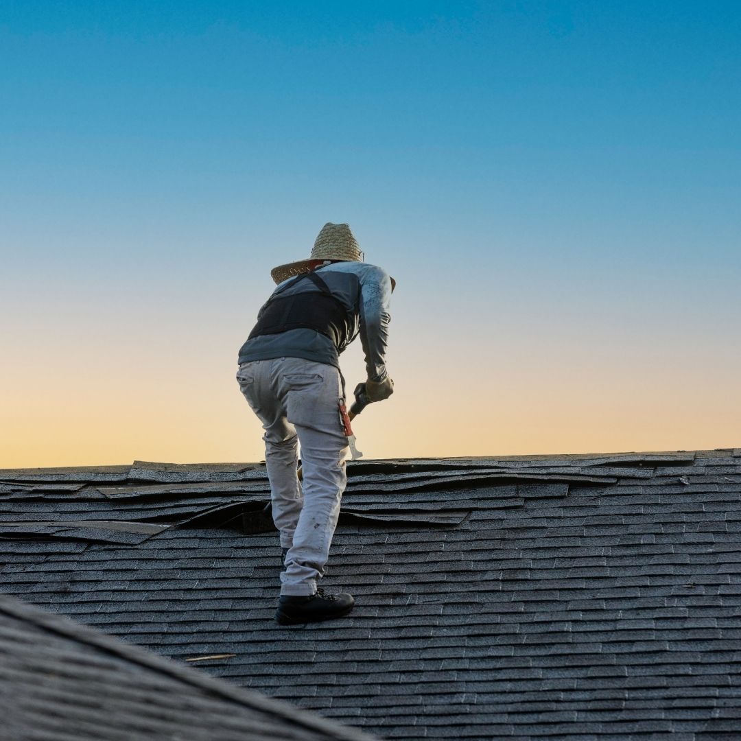 Expert Roofing for New Homes